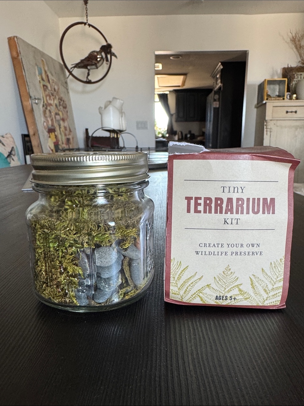 NWT Restoration Hardware Tiny Terrarium Kit